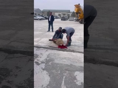 Klient świętuje luksusowy samochód